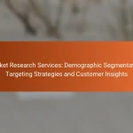 Market Research Services: Demographic Segmentation, Targeting Strategies and Customer Insights