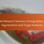 Market Research Services: Firmographics, B2B Segmentation and Target Audience