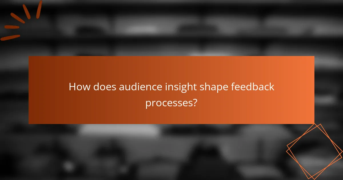 How does audience insight shape feedback processes?