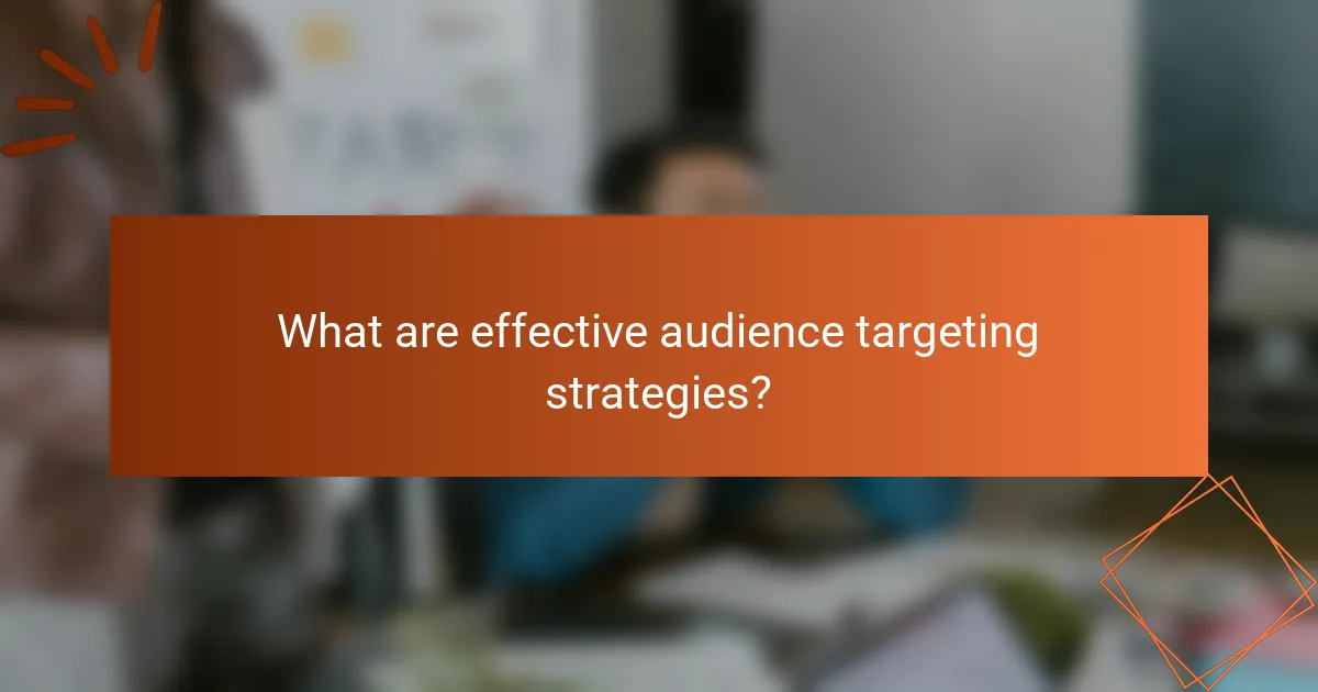 What are effective audience targeting strategies?