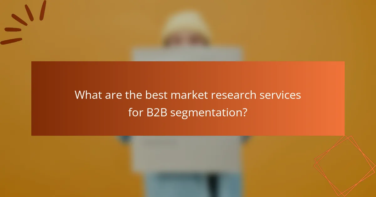 What are the best market research services for B2B segmentation?