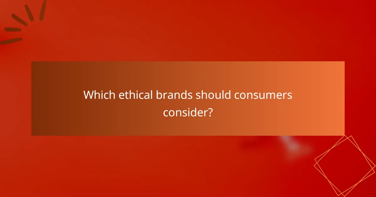 Which ethical brands should consumers consider?